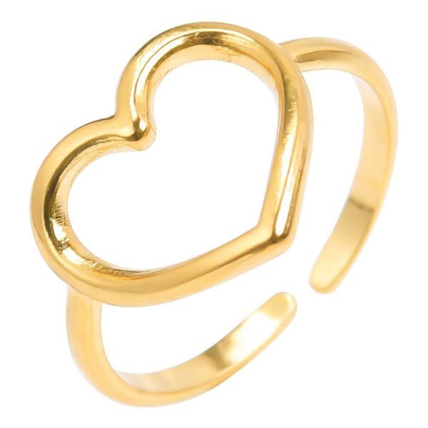 Holle Hartvormige ring rvs